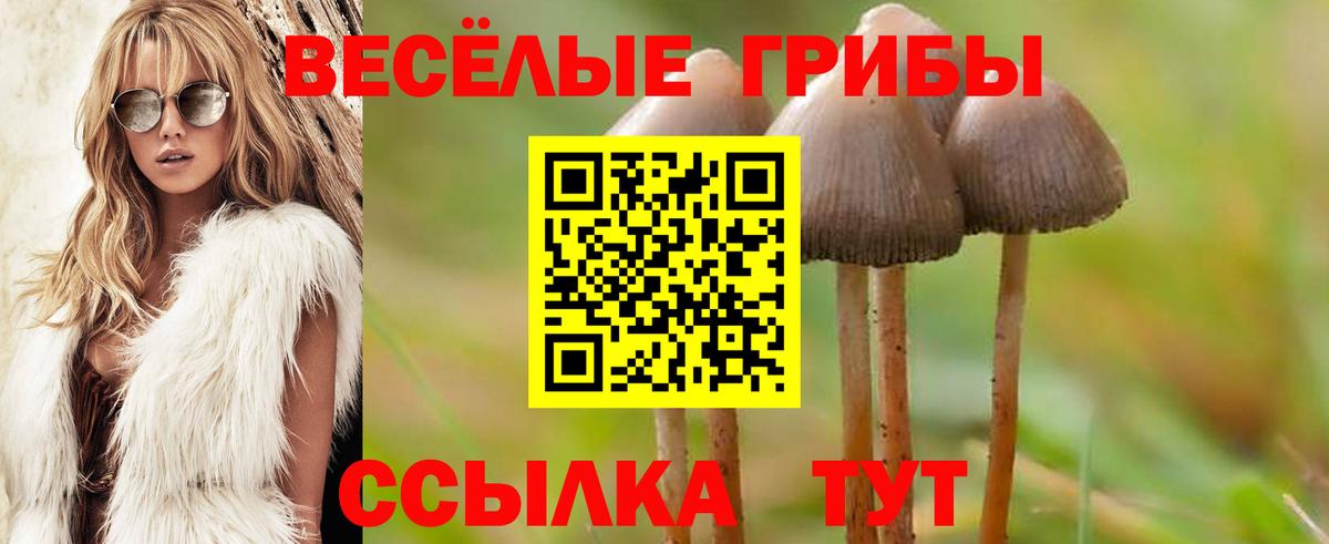 Галлюциногенные грибы Magic Shrooms  Вход с VPN  Псилоцибиновые грибы ЛСД  Сафоново 